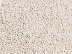 arrozcebada