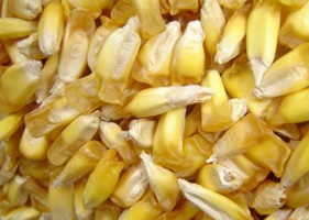 chulpe