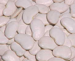 pallares