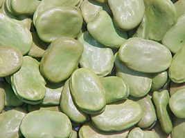 habas secas verde pacae