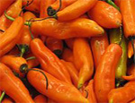 Aji Amarillo