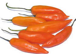 Aji
